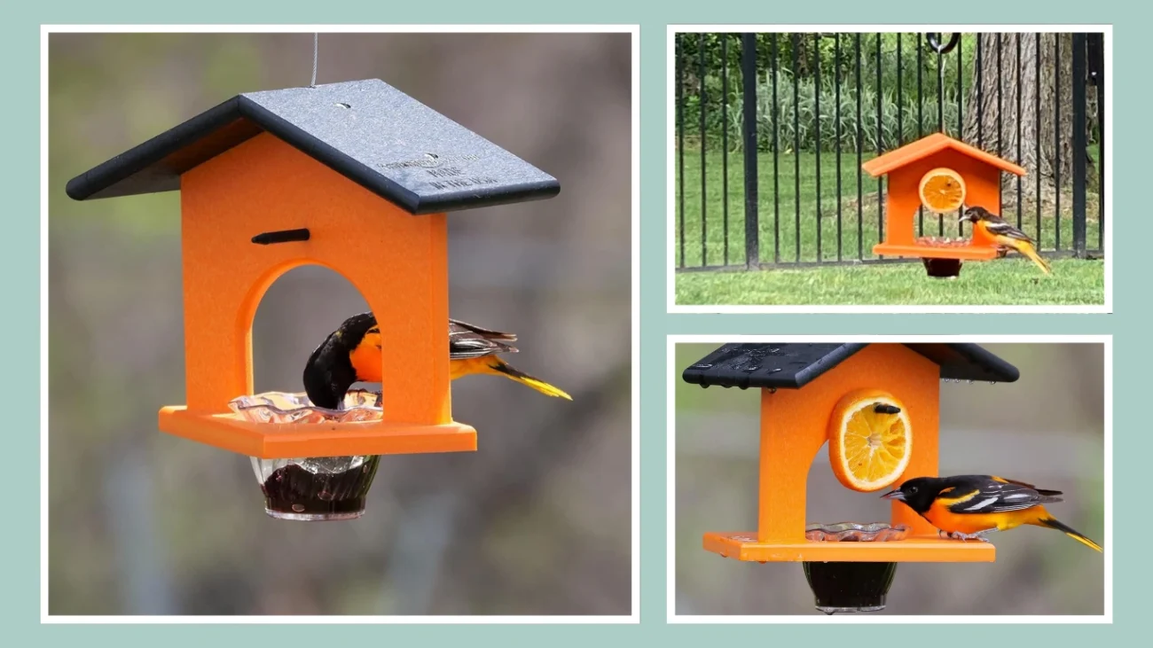 AmishToyBox Oriole Bird Feeder, (Black)