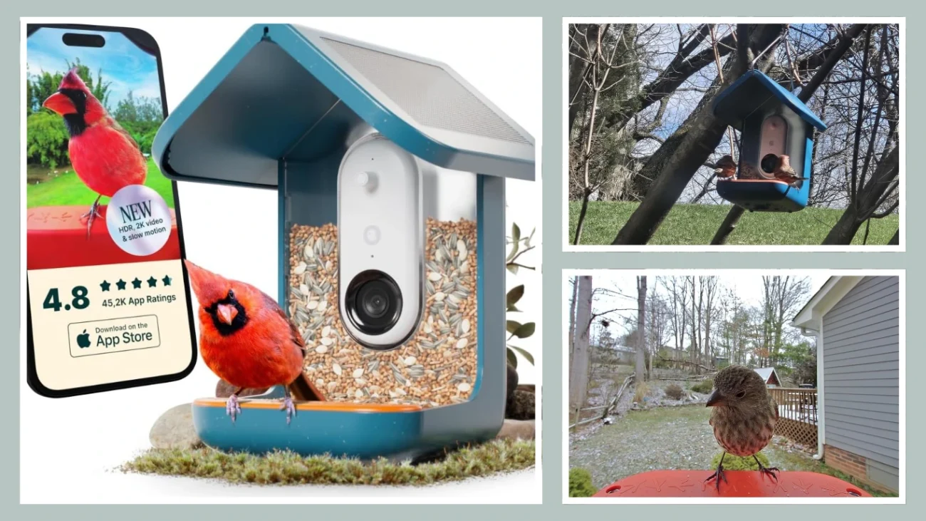 Bird Buddy PRO Smart Feeder (2K, AI, Solar)