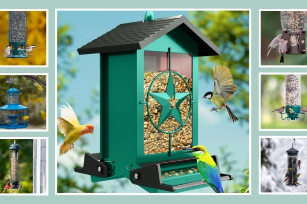 Bird Feeder That Spins Squirrels 12 Best Models That Actually Work!