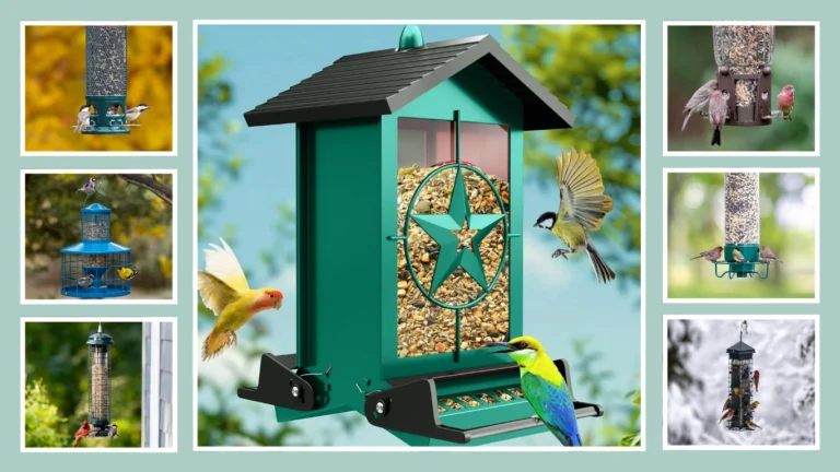 Bird Feeder That Spins Squirrels 12 Best Models That Actually Work!