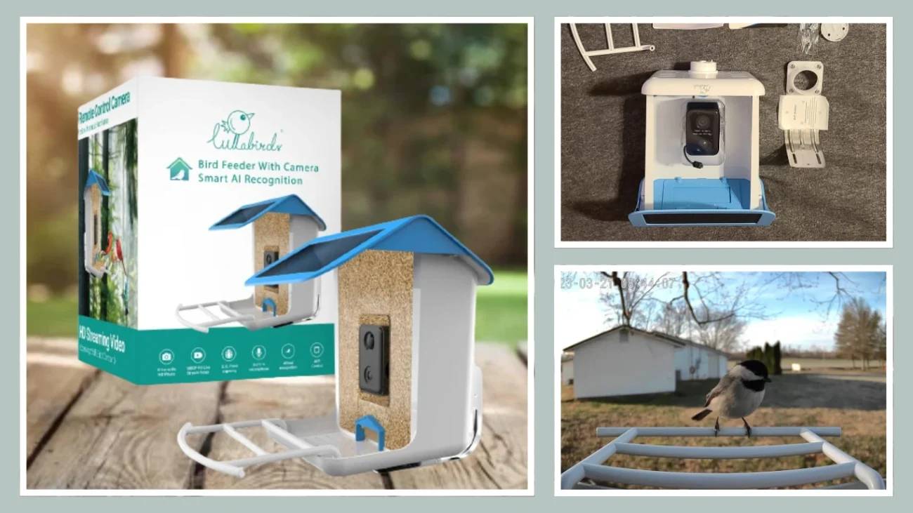 Bird Feeder with Camera. Smart Bird Feeder with Camera, Wireless Outdoor