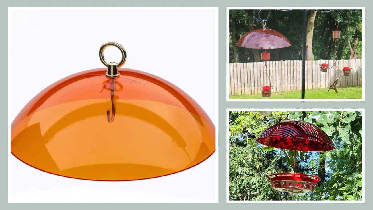 Birds Choice 10 Hanging Bird Feeder Protective Dome Cover, Orange