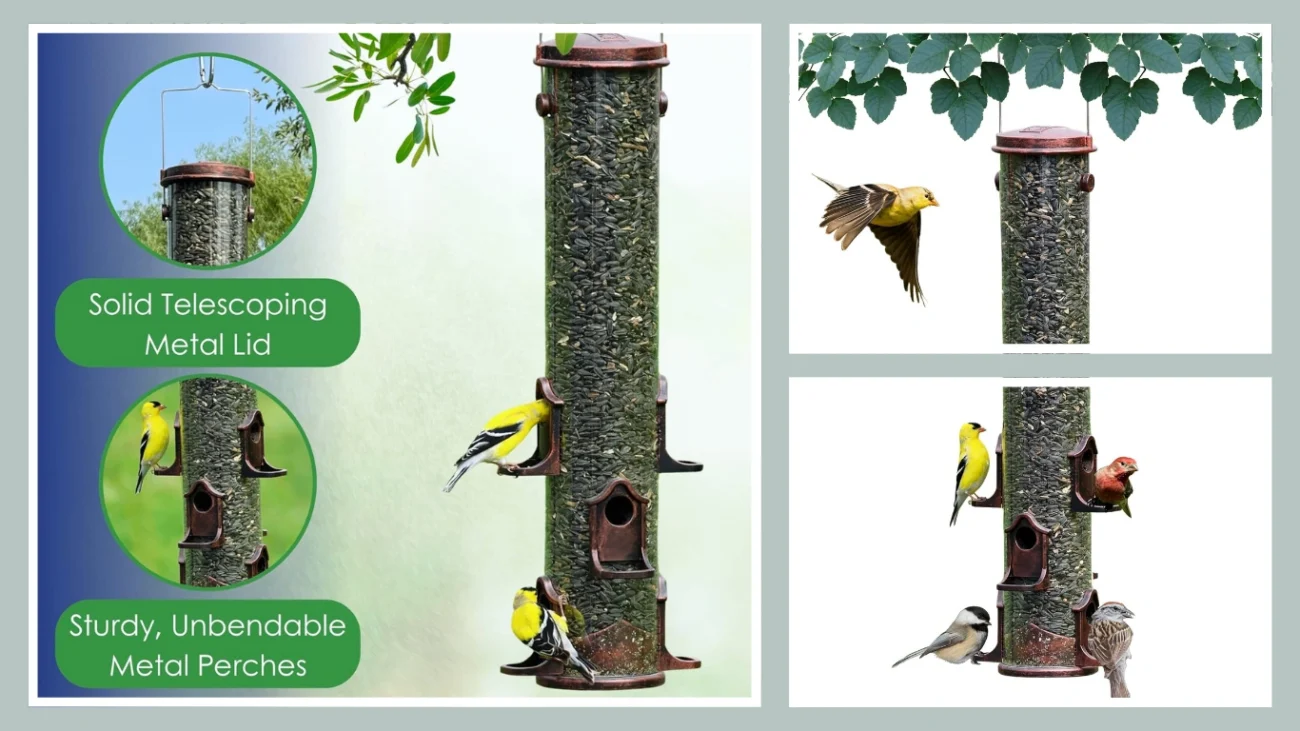Birds Choice 10-Inch Copper Tube Feeder