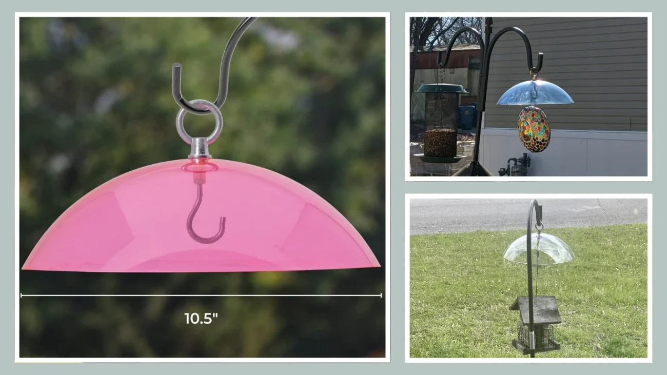 Birds Choice DOME Protective Dome, Protective Cover for Hanging Bird Feeders, 10, Clear