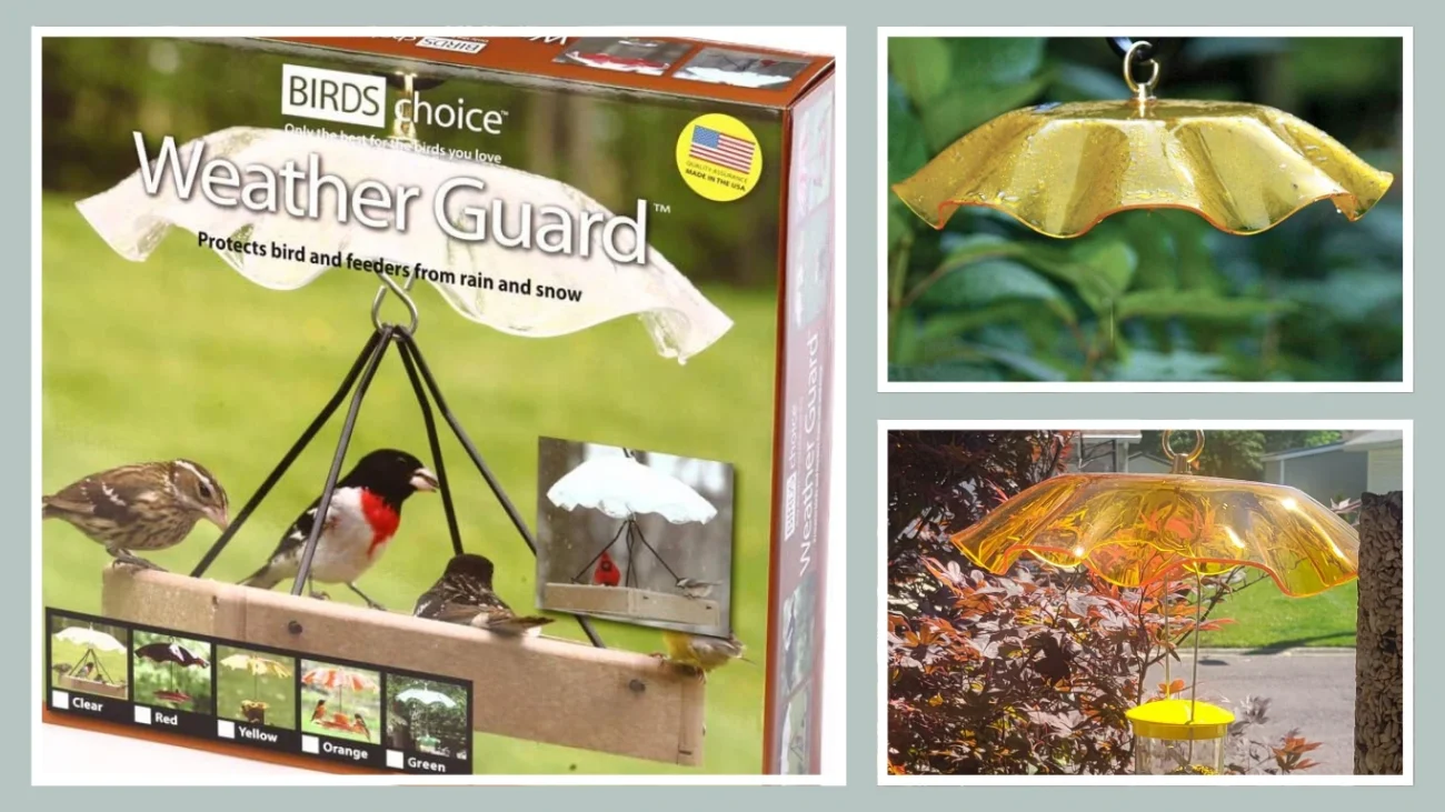 Birds Choice WGYELLOW Weatherguard, Weather-Resistant Acrylic Bird Feeder Weatherguard, 13, Yellow