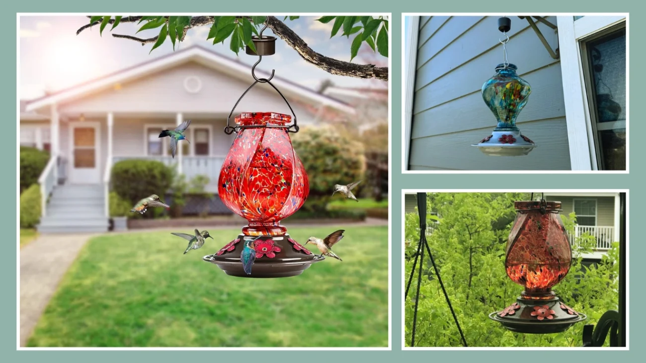 Bolite Hummingbird Feeder