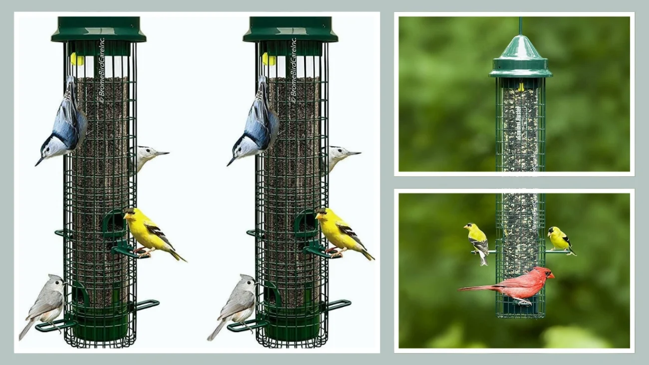 Brome Brush Proof Bird Feeder