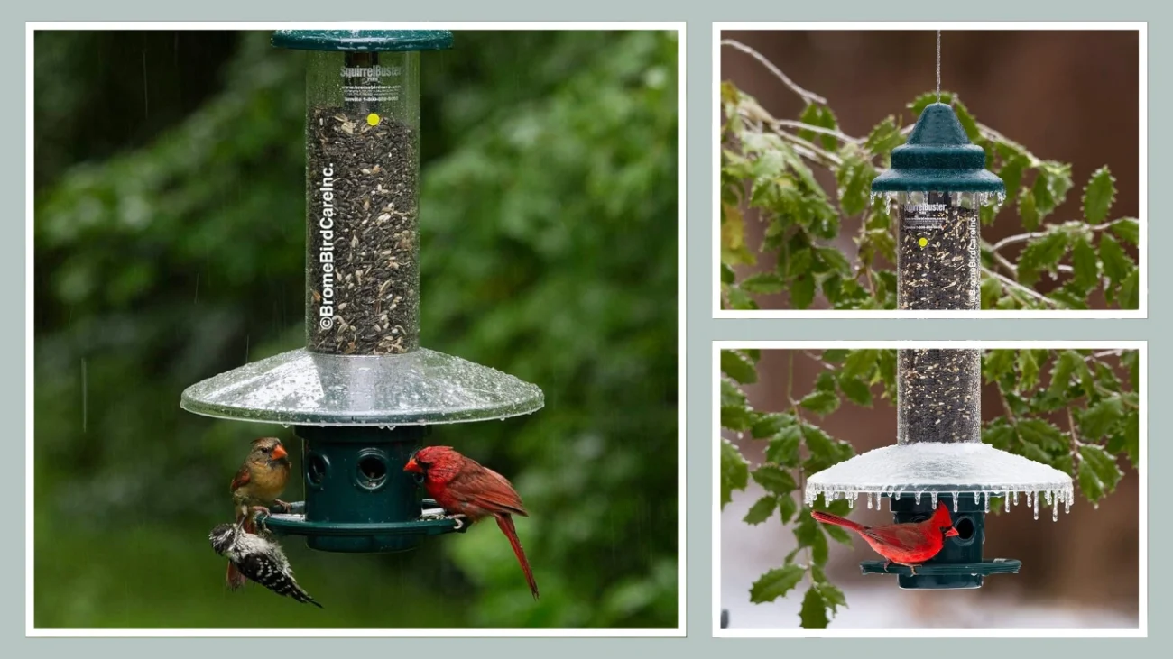 Brome Squirrel Buster Plus Wild Bird Feeder