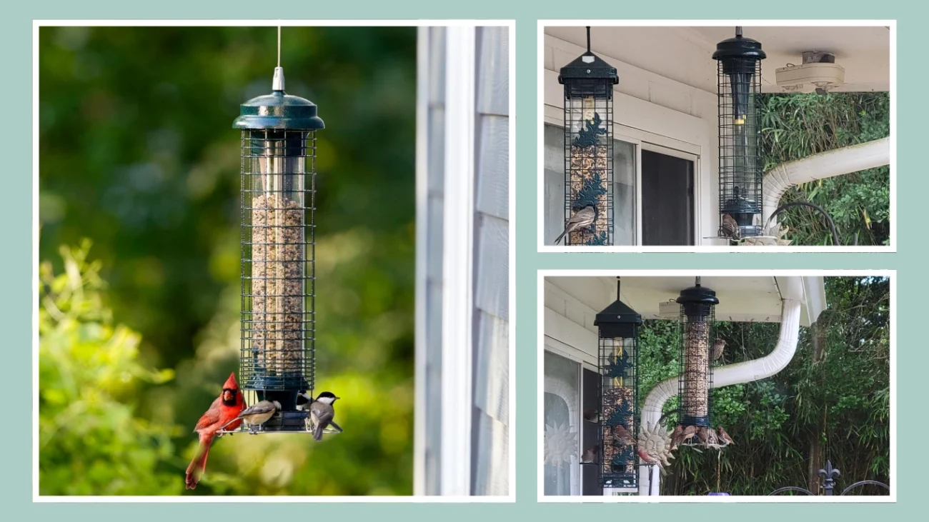 Brome Squirrel Solution 150 Squirrel-Proof Bird Feeder