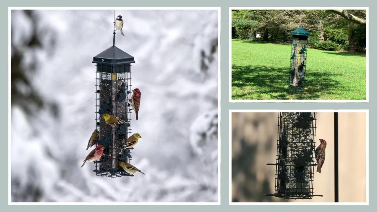 Brome Squirrel Solution 200 Squirrel-Proof Hanging Bird Feeder (Green)