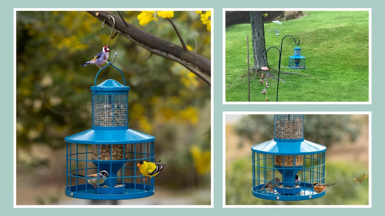Caged Squirrel-Proof Bird Feeder (2.8 lbs Capacity)