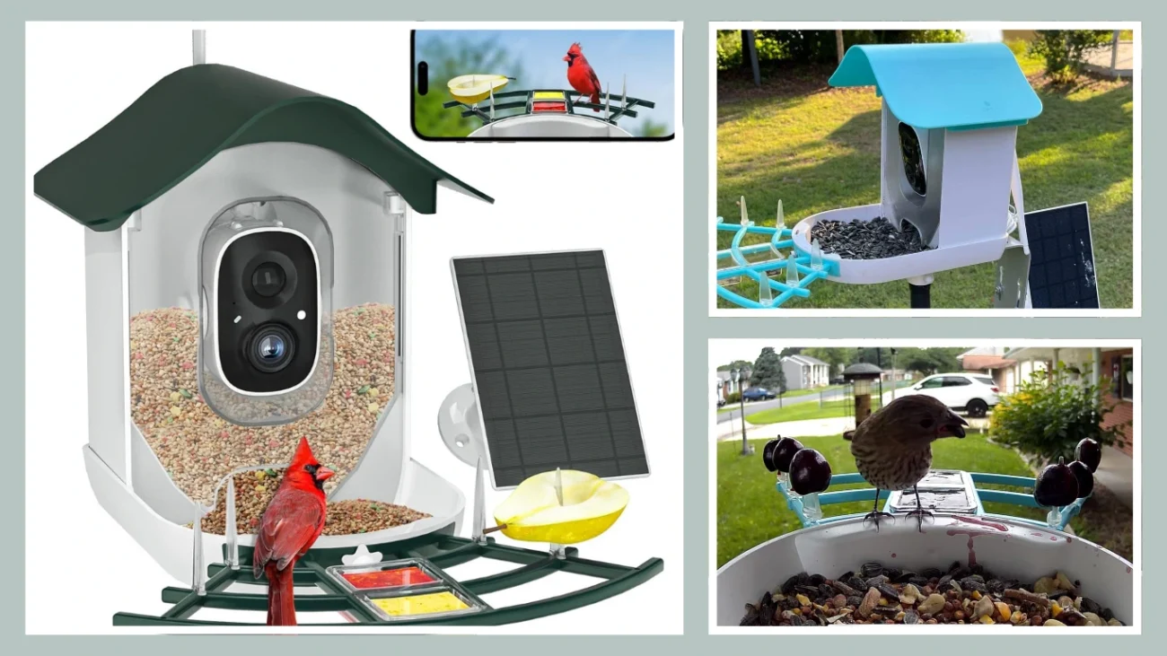 DOCOON Smart Bird Feeder with Camera