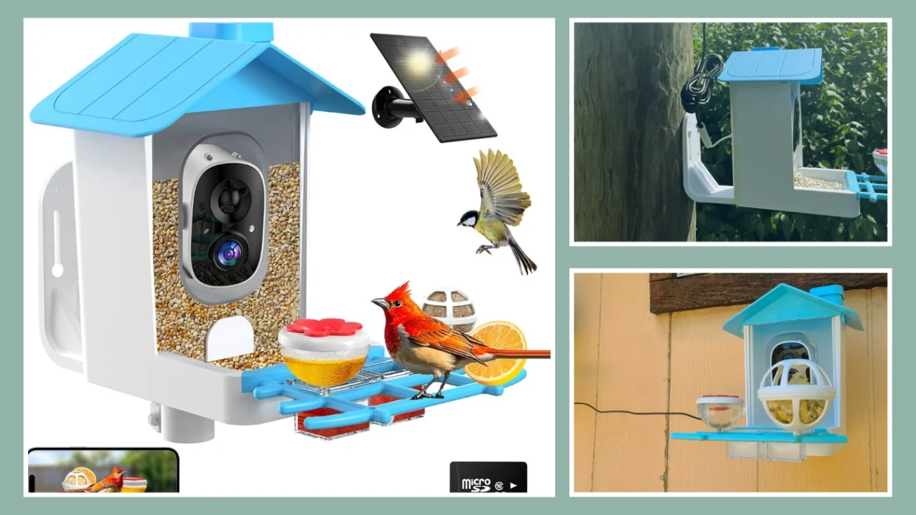 Dovbird Smart Bird Feeder with Camera (Solar-Powered)