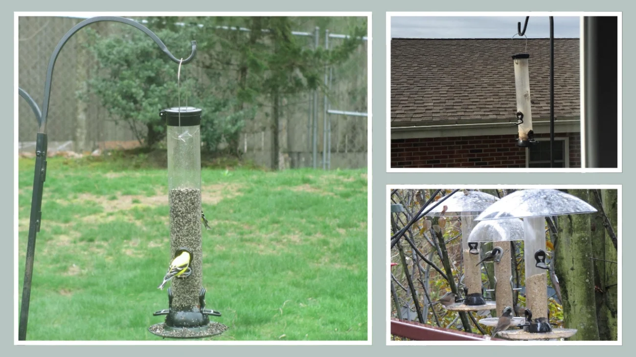 Droll Yankees 18-Inch Onyx Clever Clean and Fill Mixed Seed Bird Feeder