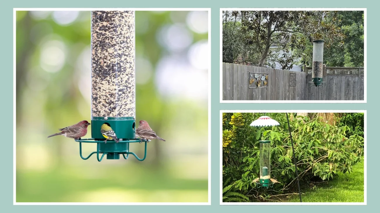 Droll Yankees Flipper Squirrel Proof Bird Feeder