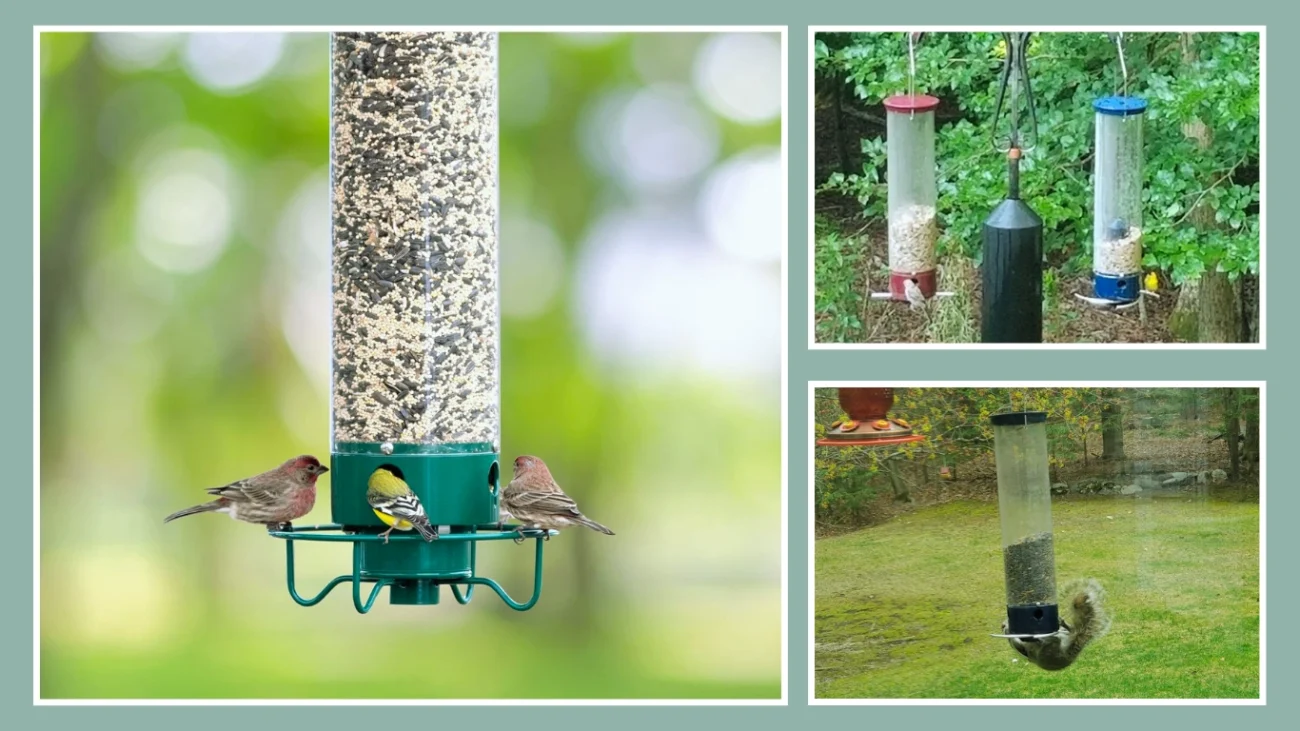 Droll Yankees Flipper Squirrel-Proof Bird Feeder