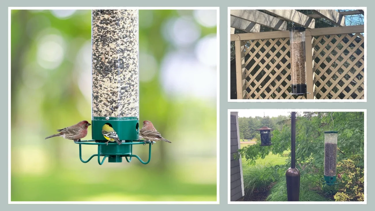 Droll Yankees Yankee Flipper Squirrel-Proof Bird Feeder