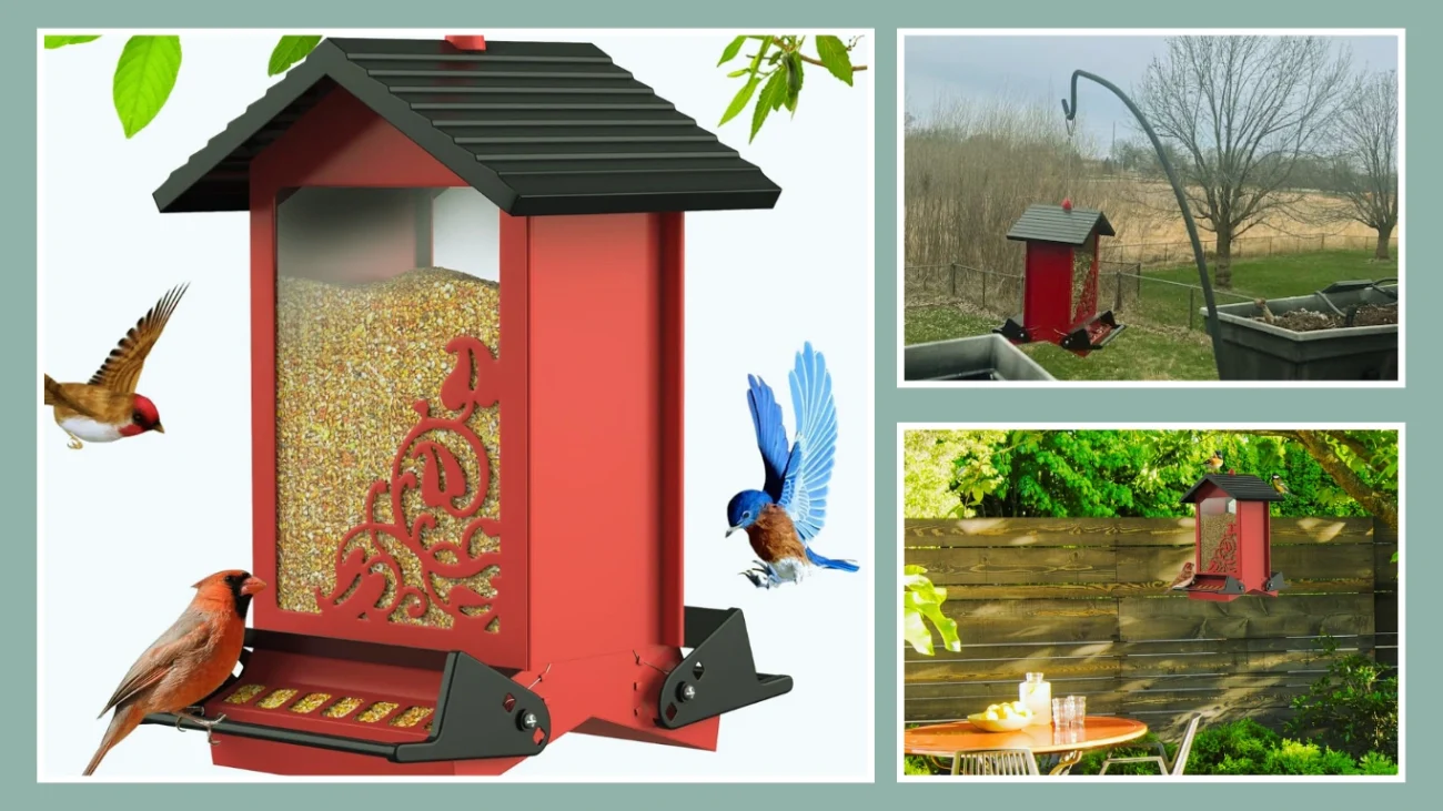 Dual-Port Weight-Sensitive Squirrel-Activated Feeder (3 lb Capacity)