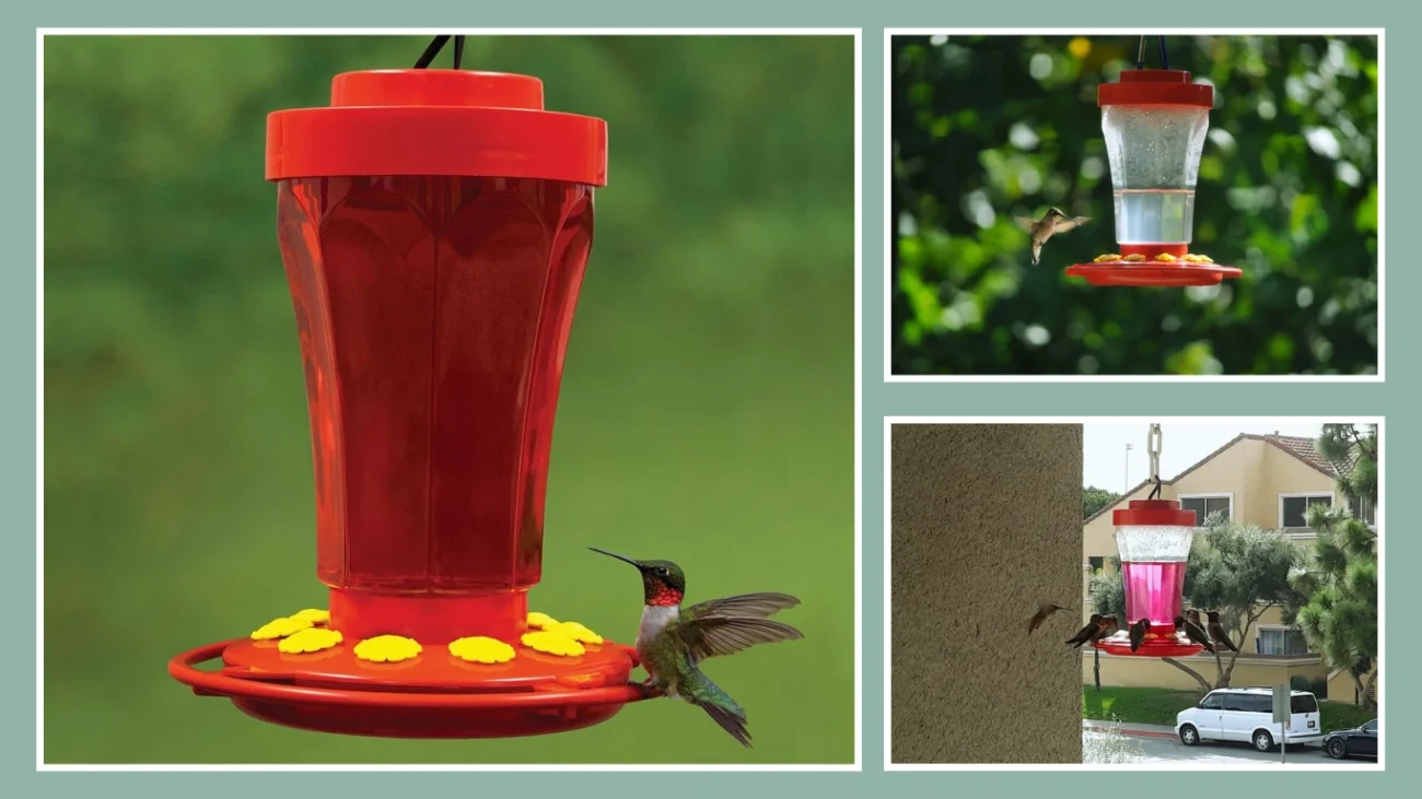 First Nature Hummingbird Feeder