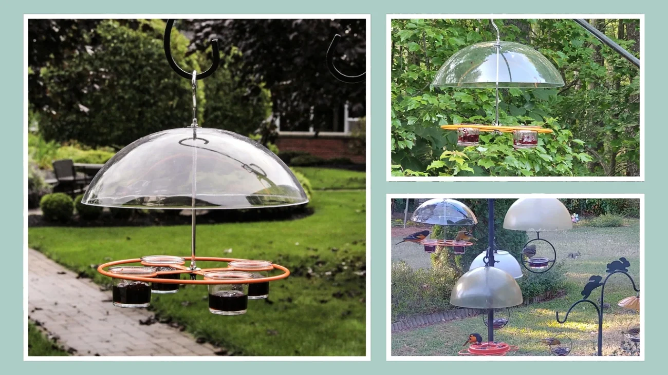 Heath CF-135 Oriole Bird Feeder with Clear Dome Baffle 