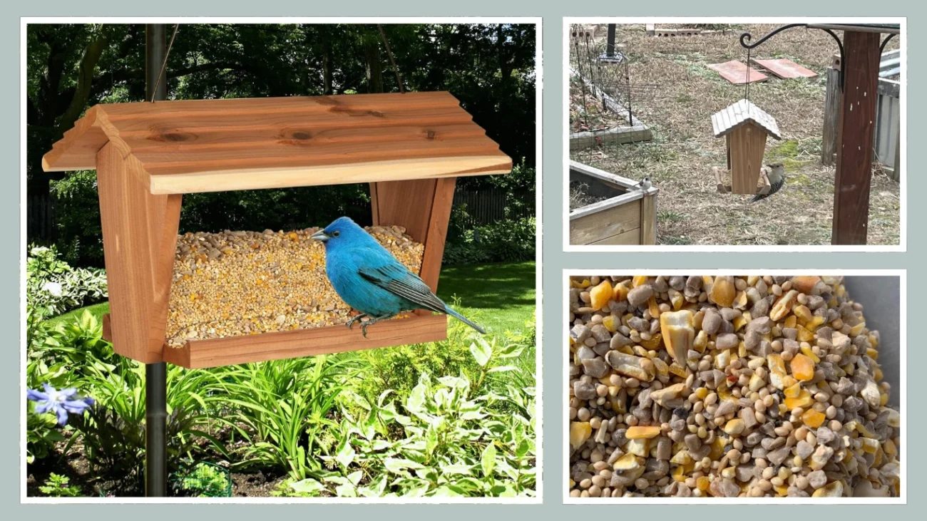 Kaytee No-Mess Bird Feeder