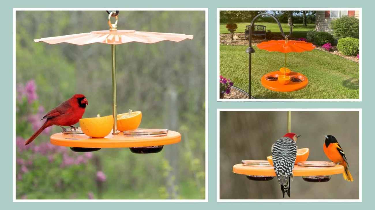 Kettle Moraine Super Oriole Jelly