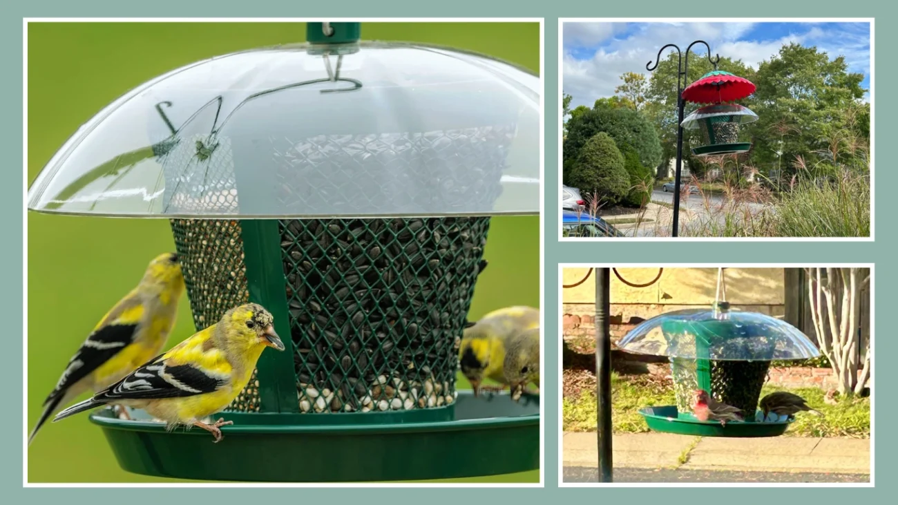 Kingsyard Dual-Use Metal Mesh Squirrel-Proof Bird Feeder