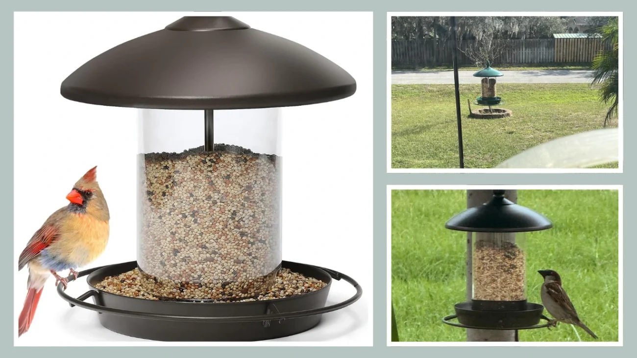 Metal Roof Bird Feeder - Chew Proof for Outdoor Hanging Wild Bird Seeds. 