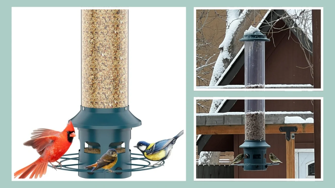 Metal Squirrel-Proof Bird Feeder (6.5LB Capacity)