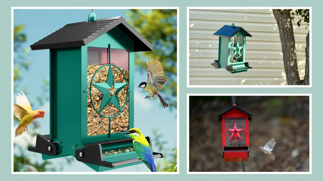 Metal Wild Bird Seed Feeder with Activated Perches (5LB)