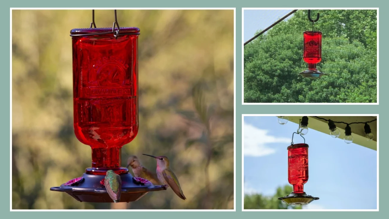 More Birds Elixir Hummingbird Feeder