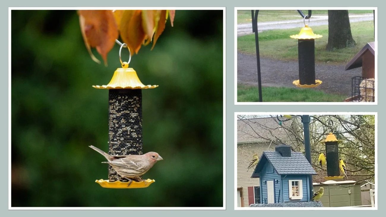 More Birds Yellow Screen SeedFeed Thistle Feeder