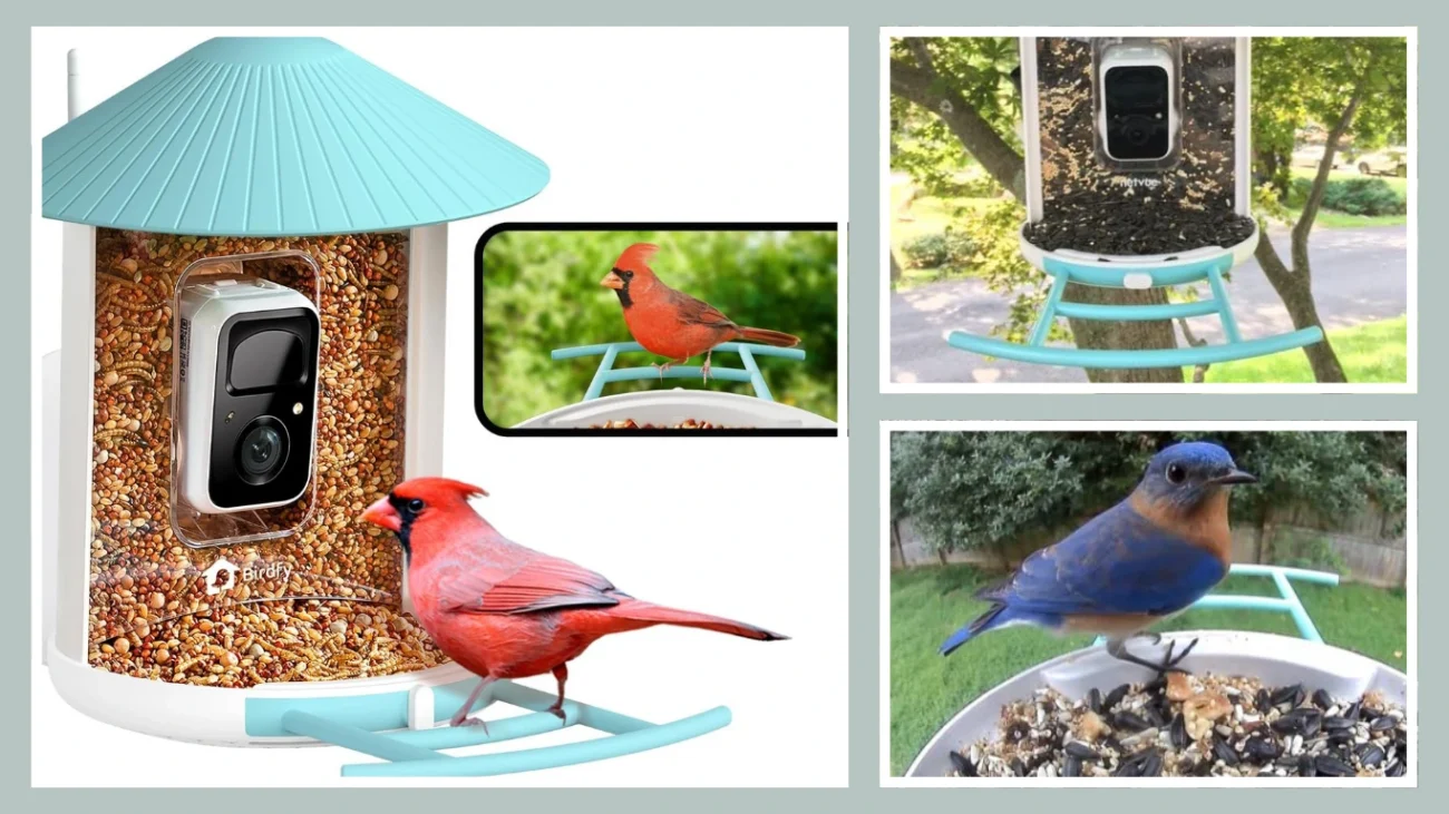 NETVUE Birdfy Smart Bird Feeder with Camera