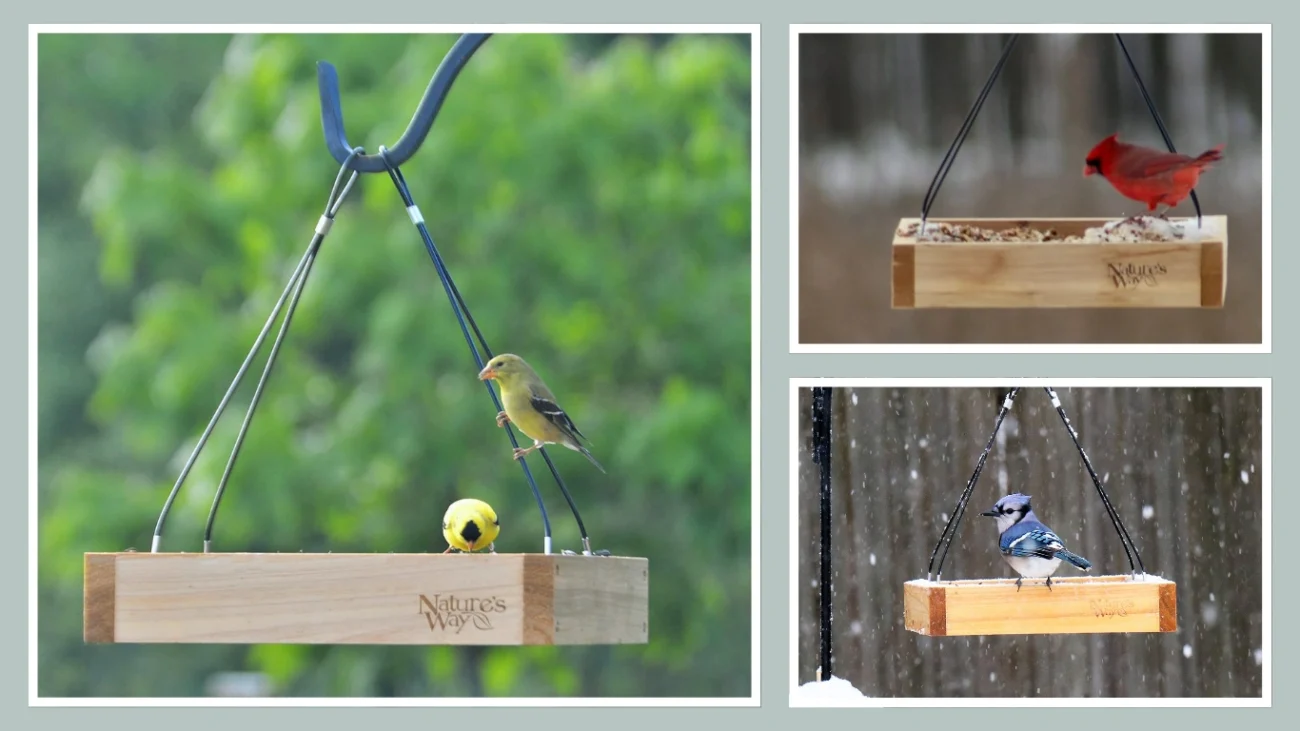 Nature’s Way Bird Products Cedar Platform Tray Bird Feeder