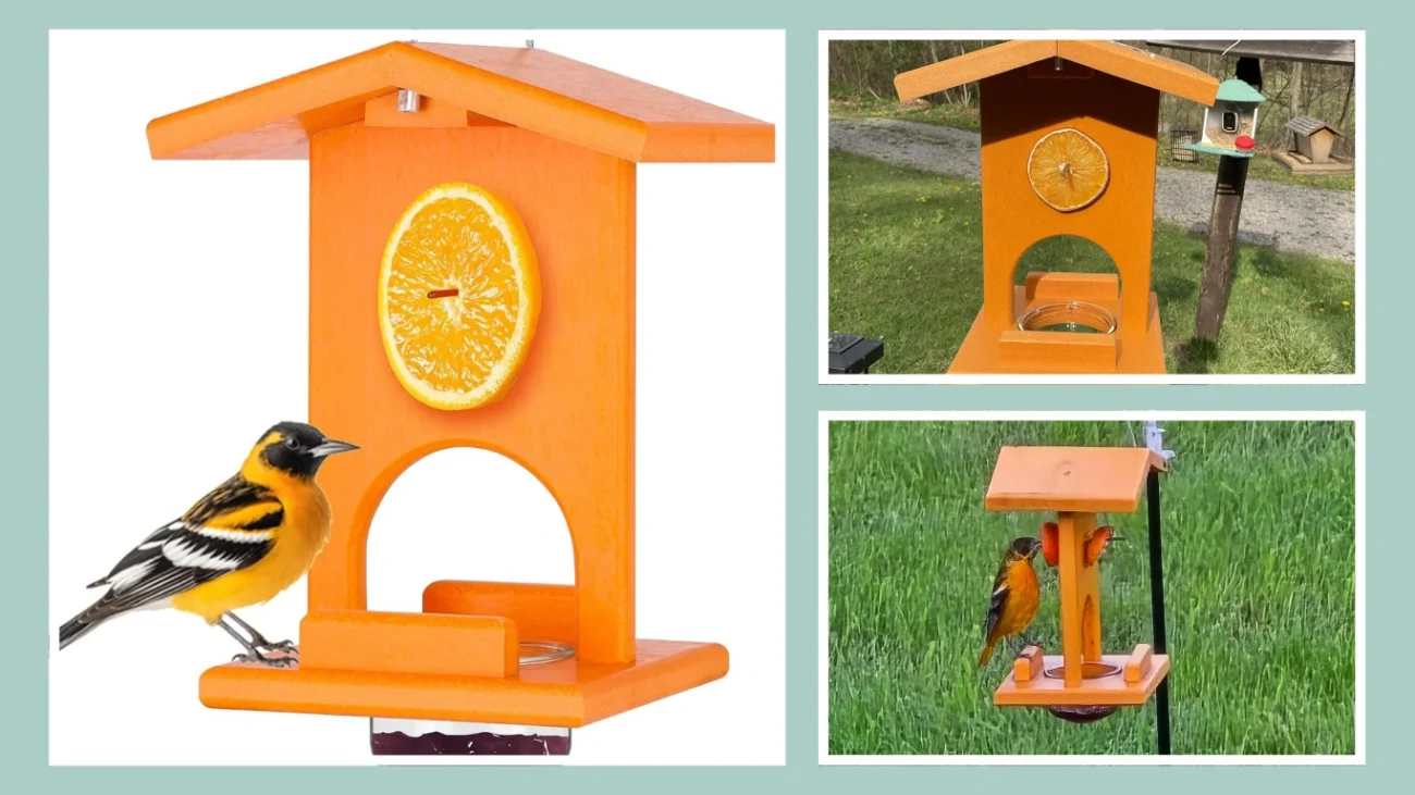 Oriole Feeders for Outdoors Hanging, All-in-One Recycled Plastic Oriole Feeder