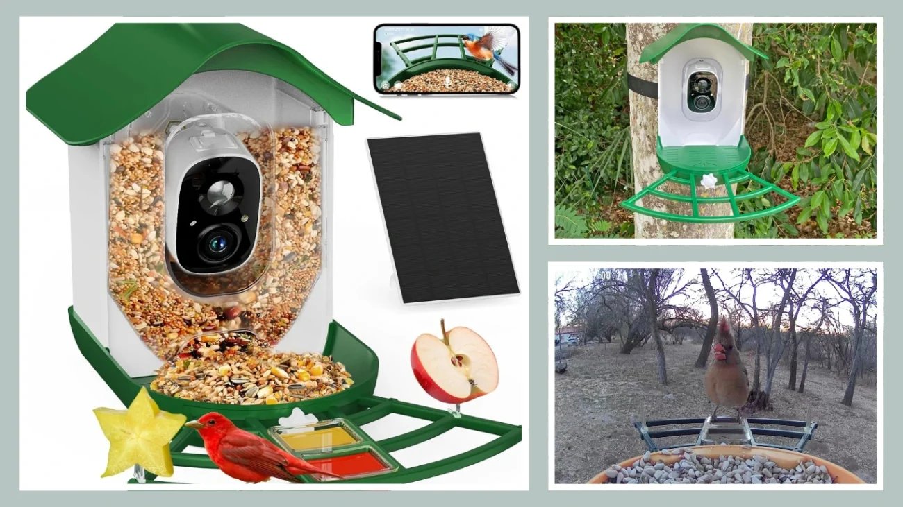 PeckCam® Smart Bird Feeder with Camera 