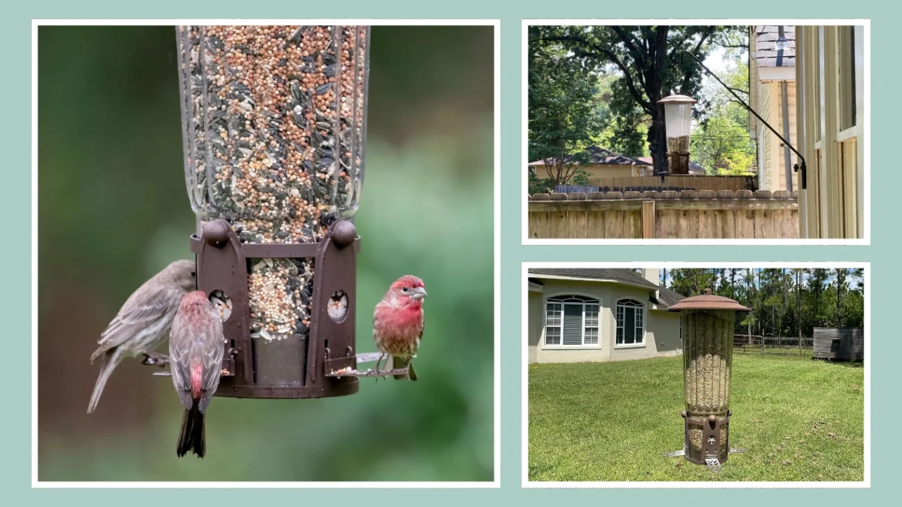 Perky-Pet 334-1SR Wild Bird Feeder with Flexports