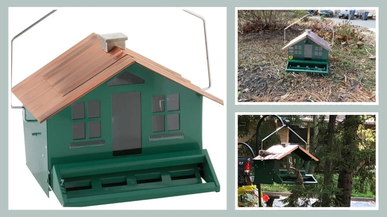 Perky-Pet 339-1SR Squirrel-Be-Gone II Squirrel-Proof Hanging Bird Feeder (Red)