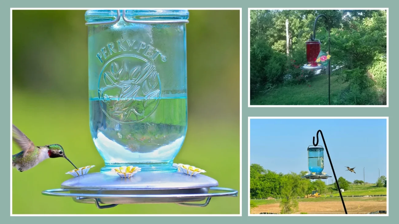 Perky-Pet 785-1SR Mason Jar Vintage Glass Hummingbird Feeder
