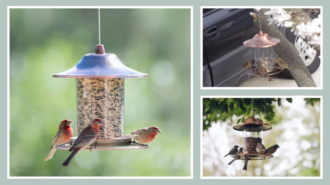 Perky-Pet Copper Panorama Window Bird Feeder