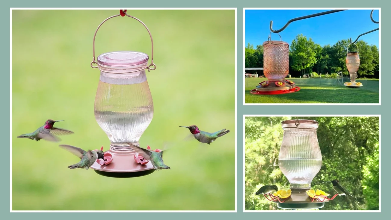 Perky-Pet Rose Gold Top-Fill Glass Hummingbird Feeder