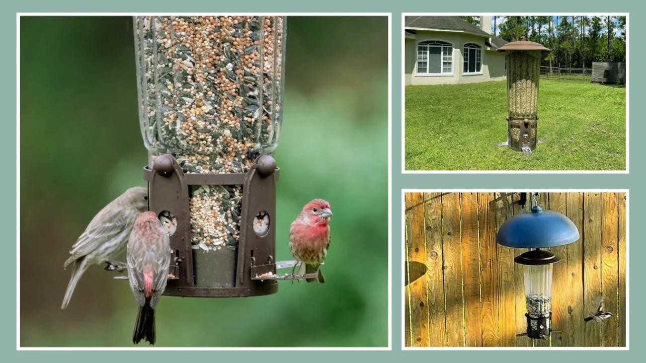 Perky-Pet Squirrel-Be-Gone II Bird Feeder