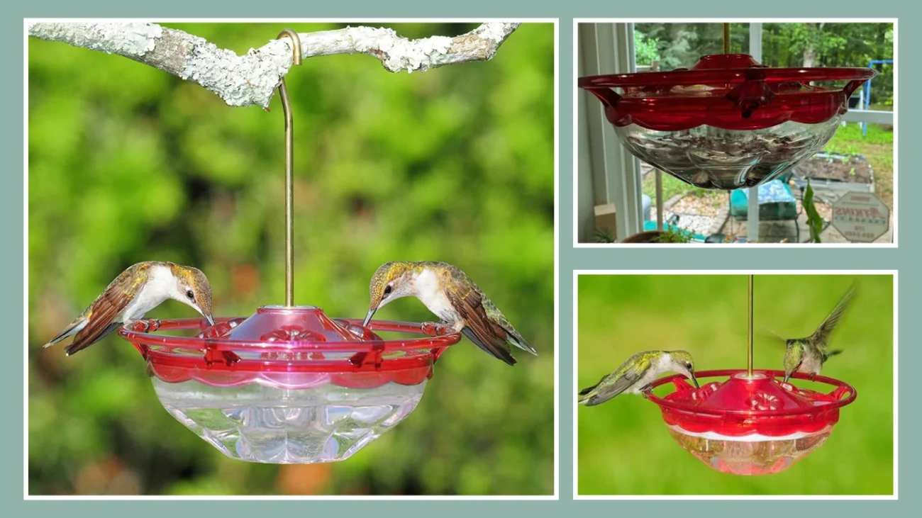 Sewanta Humm make Feeder