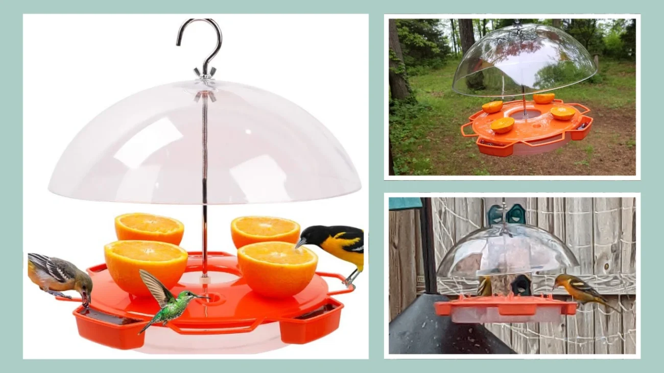 Solution4Patio Baltimore Oriole Feeder 