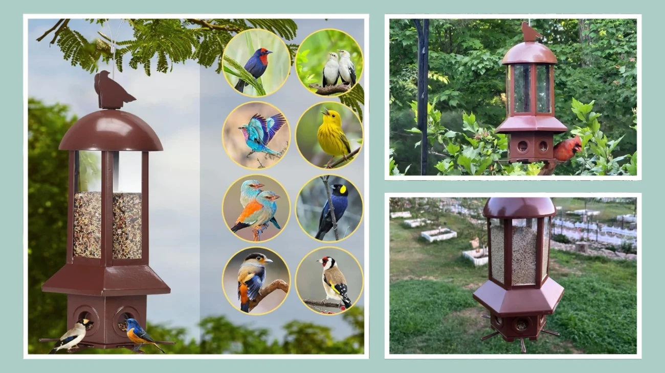 Sorflife Professional Squirrel Proof Bird Feeder (5.06 lbs Capacity)