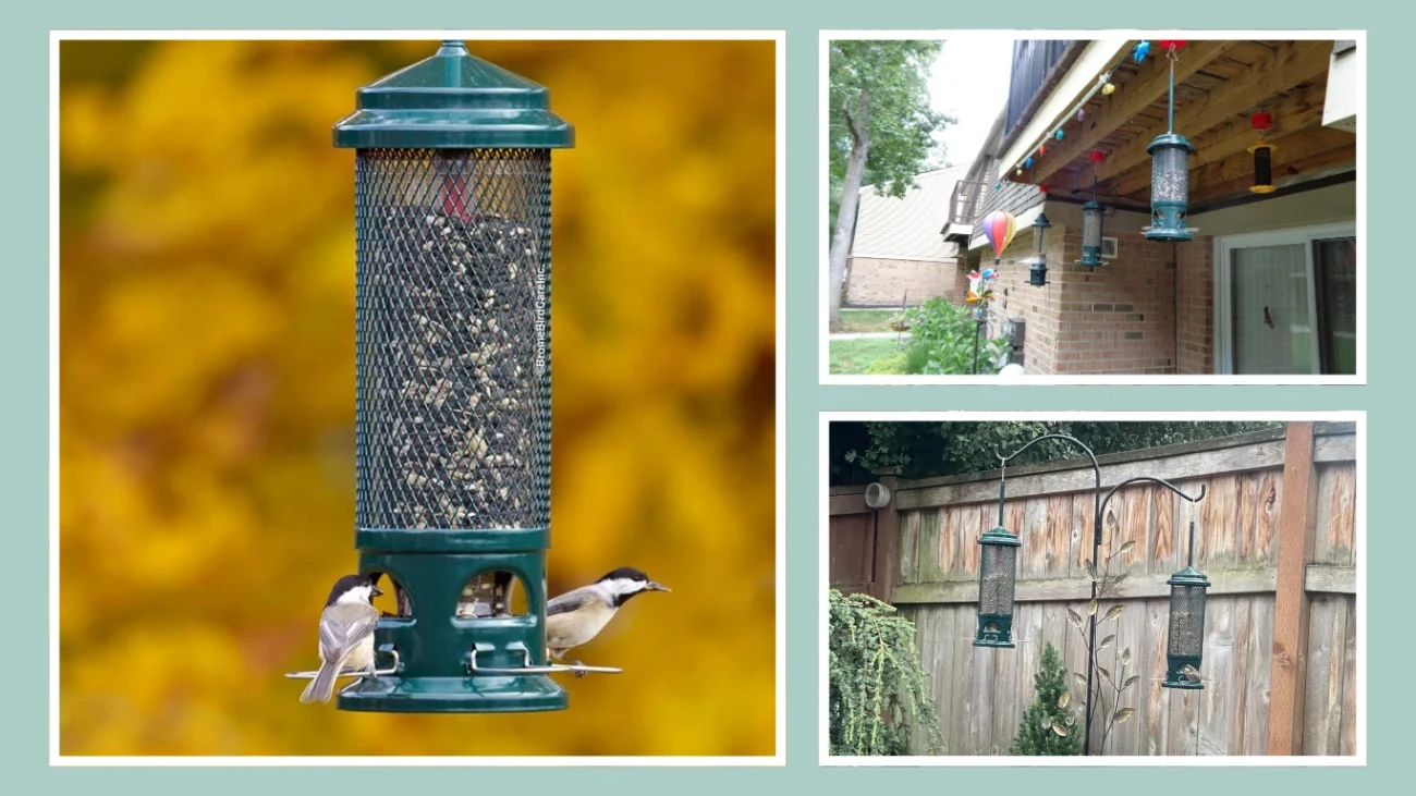 Squirrel Buster Legacy Squirrel-proof Bird Feeder