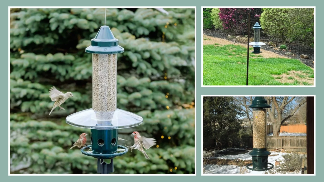 Squirrel-Proof 5.1‑lb Cage Style Feeder (PoleMountable)