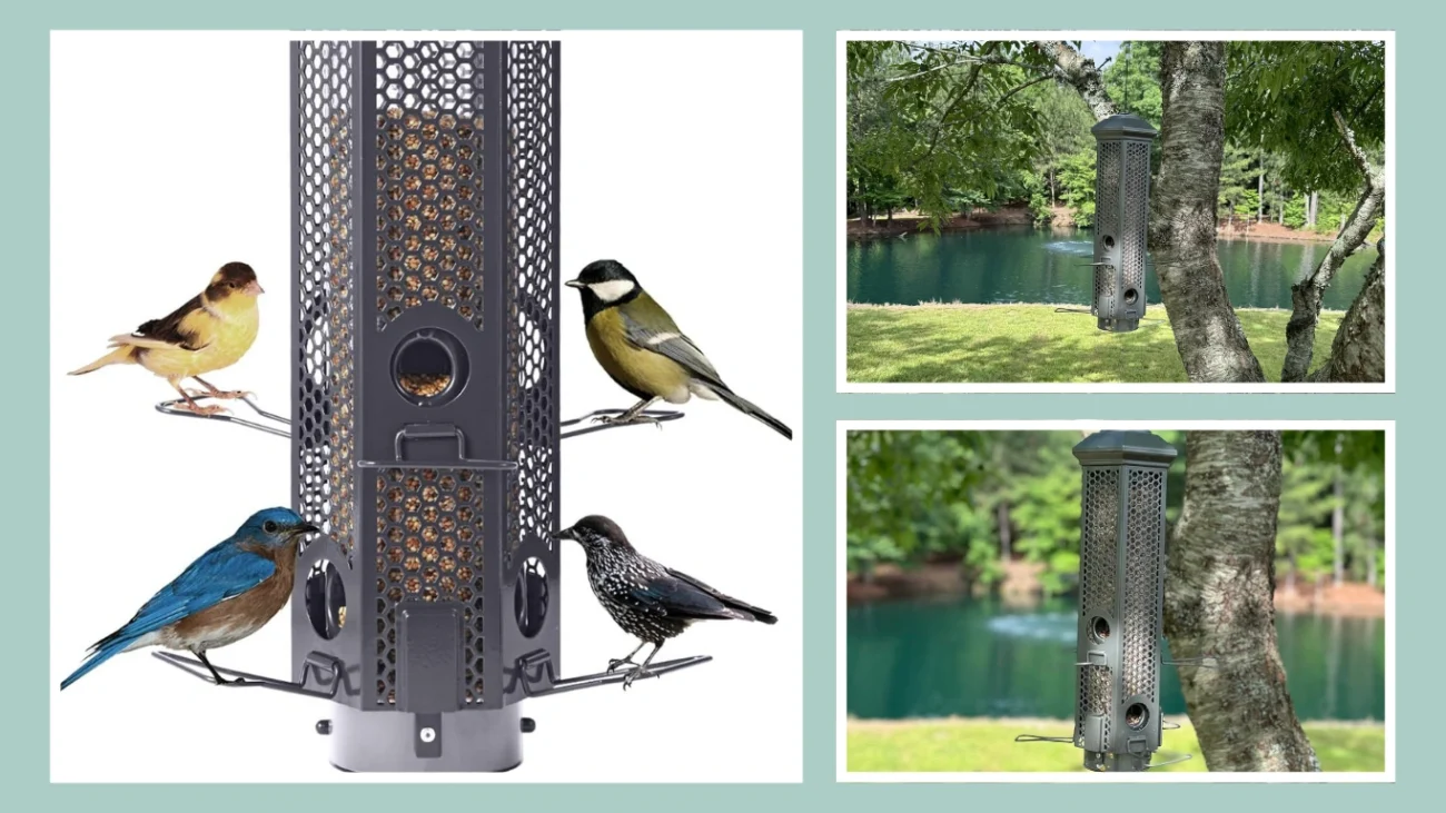 Squirrel-Proof Bird Feeder (6 Weight-Activated Ports)