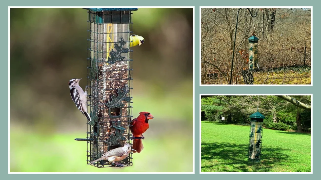 Squirrel Solution 200 Squirrel-Proof Bird Feeder