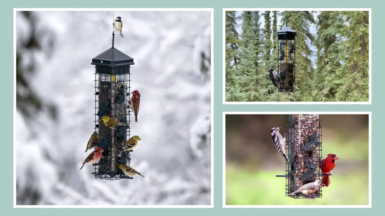 Squirrel Solution200 Squirrel-proof Bird Feeder (3.4-pound Capacity)